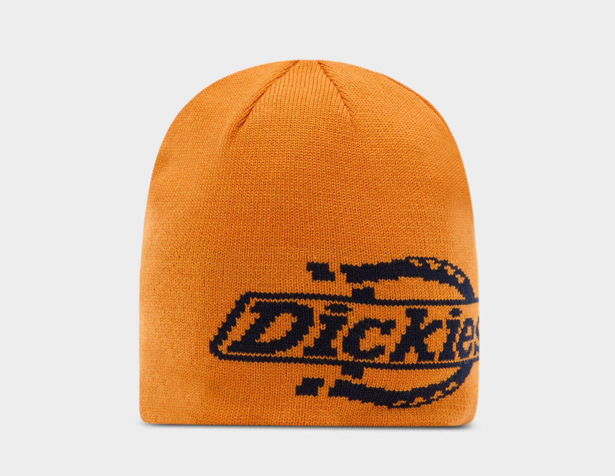 Dickies Summerdale Beanie