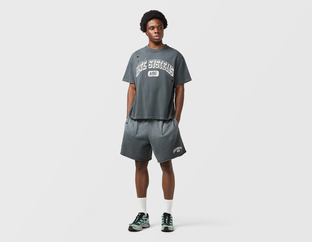 Alte Systems Analog Shorts